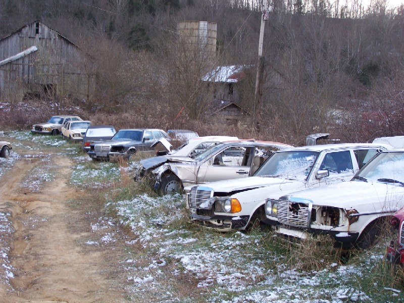 Illustration for article titled Over 1,000 Vintage Mercedes-Benzes Await The Cruel Jaws Of The Crusher In Kentucky